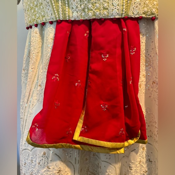 Colorful Lehenga - Picture 4 of 7